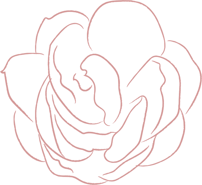 elements line drawing white jasmine flower illustrations FF57E82 2020 06 29 2